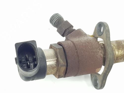 Injector LAND ROVER DISCOVERY III (L319) 2.7 TD 4x4 | BP24597902M100 