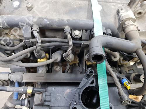 Engine FIAT PANDA (169_) 1.2 (169.AXB11, 169.AXB1A) | BP38037935M1 - Image 6