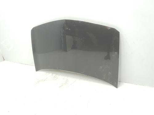 Hood RENAULT MEGANE II (BM0/1_, CM0/1_) 2.0 16V (BM0U, CM0U) | BP16030495C1 