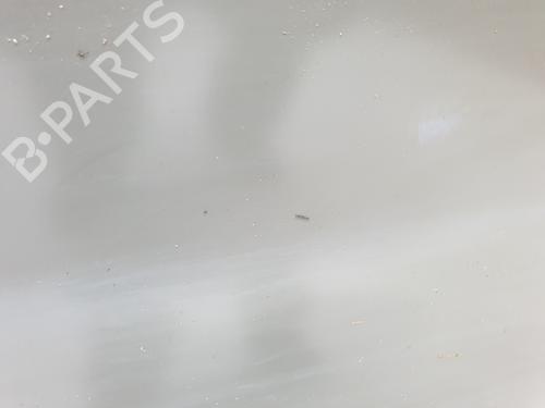 Right rear door RENAULT TRAFIC III Van (FG_)  | BP21004069C5 