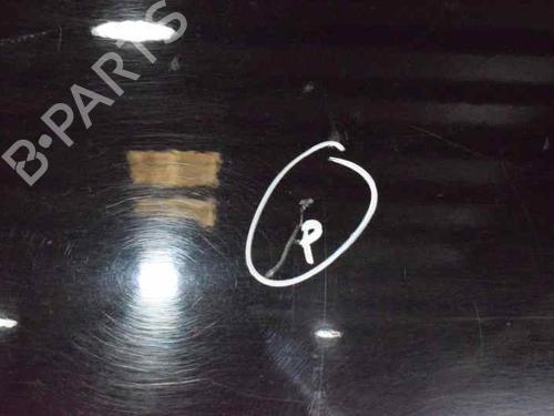 Left front door AUDI A3 (8P1) 1.9 TDI | BP780341C2 