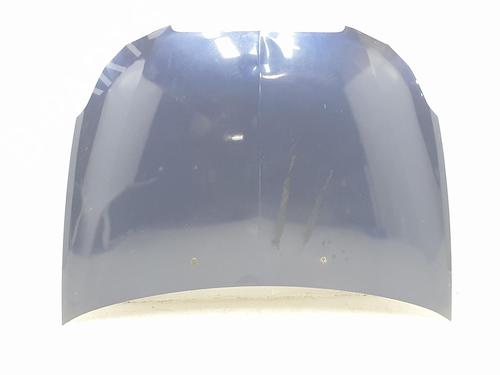 Used Hood LANCIA DELTA III (844_) 1.6 D Multijet (844.AXC11, 844.AXC1A) (120 hp) 16922992