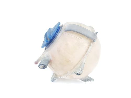 Expansion tank SEAT IBIZA IV (6J5, 6P1) 1.9 TDI | BP16896618C120 