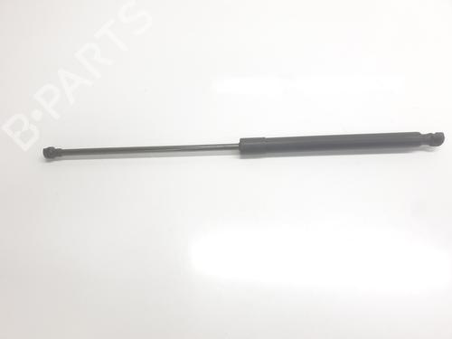 tailgate-lift-support-renault-arkana-i-lcm_-ldn_-2019-33861137 main image