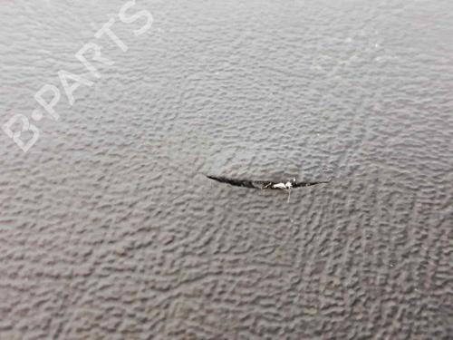 Armrest / Center console LAND ROVER DEFENDER Station Wagon (L316) 2.5 TDI 4x4 (L316) | BP7152620I20 