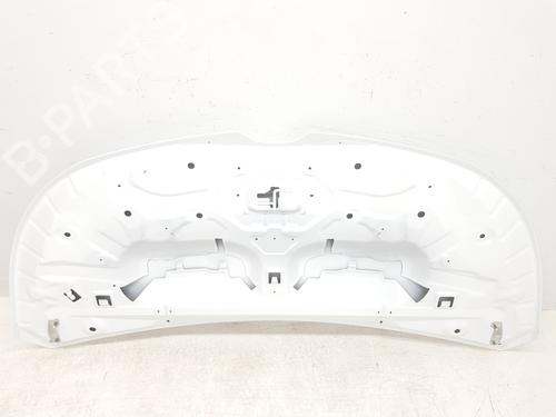 Hood RENAULT TRAFIC III Van (FG_) 1.6 dCi 140 (FGMA, FGMC) | BP30262882C1 