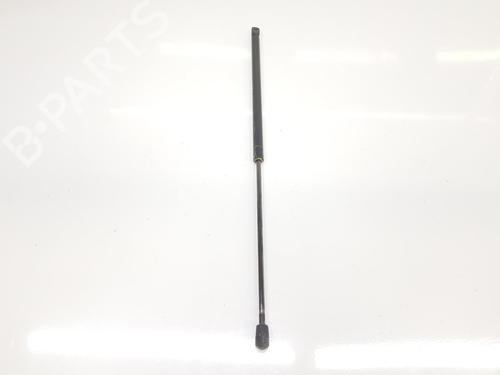 Tailgate lift support MERCEDES-BENZ M-CLASS (W163) ML 270 CDI (163.113) | BP14096405C138 
