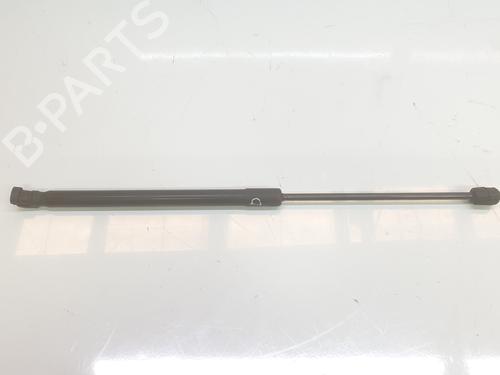 Hood lift support AUDI Q7 (4LB) 3.0 TDI quattro | BP14100890C139 