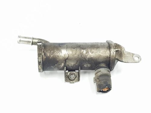 Egr LAND ROVER DISCOVERY III (L319) 2.7 TD 4x4 | BP24597935M69 