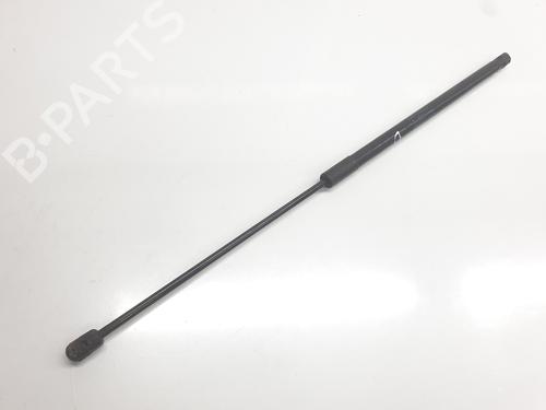 Hood lift support MERCEDES-BENZ C-CLASS (W204) C 320 CDI (204.022) | BP24125556C139 