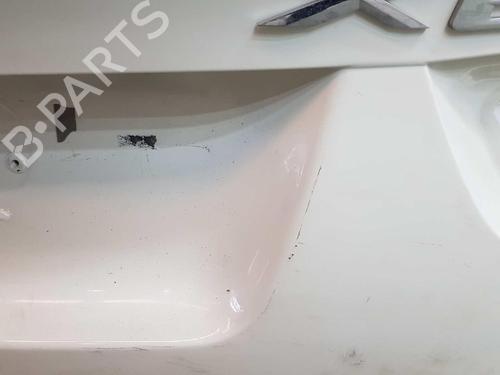 Tailgate BMW X6 (E71, E72) xDrive 50 i | BP6067928C6 