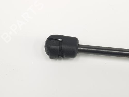 Tailgate lift support LAND ROVER RANGE ROVER EVOQUE (L538) 2.2 D | BP17169066C138 