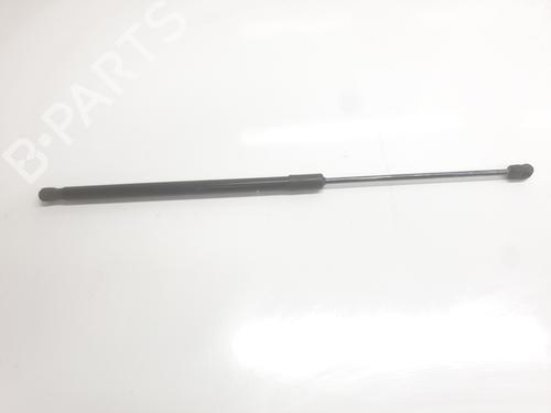 tailgate-lift-support-dacia-duster-pym_-pyn_-2023-34698779 main image