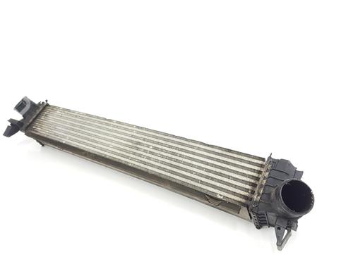 Intercooler FIAT DUCATO Van (250_) 150 Multijet 2,3 D | BP21327118M30 