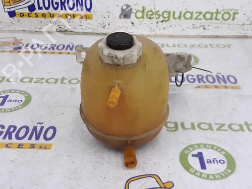 Used Expansion tank RENAULT KANGOO (KC0/1_) D 65 1.9 (KC0E, KC02, KC0J, KC0N) (64 hp) 3014098