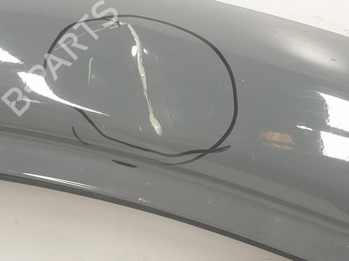 Right front door RENAULT TRAFIC III Van (FG_) 1.6 dCi 140 (FGMA, FGMC) | BP29915221C3