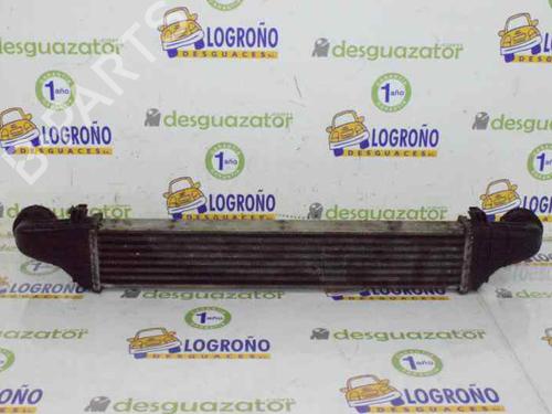 Intercooler MERCEDES-BENZ E-CLASS (W211) E 220 CDI (211.006) | BP1414495M30 