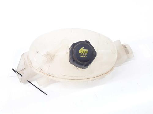 Used Expansion tank RENAULT MASTER III Platform/Chassis (EV, HV, UV) 2.3 dCi 110 FWD (EV0R, EV0W, HV0R, HV0W, UV0R, UV0W) (110 hp) 6579124