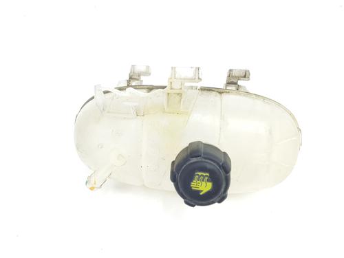 expansion-tank-renault-trafic-iii-bus-jg_-2014-34348875 main image