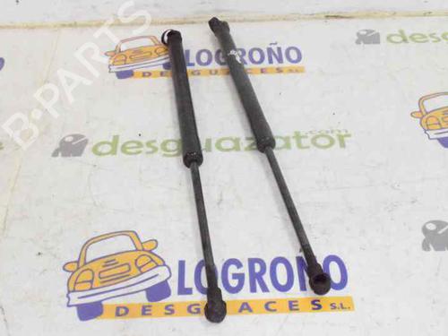 Tailgate lift support BMW 1 (E87) 118 d | BP14118104C138 