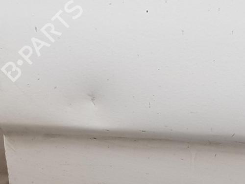 Right front door NISSAN PRIMASTAR Van (X83) 1.9 dCi 100 | BP9520748C3 