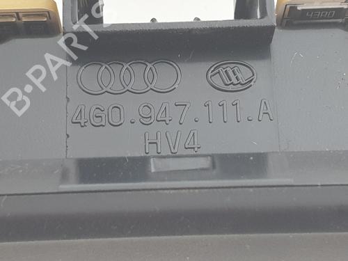 Interior roof light AUDI A6 C7 (4G2, 4GC) 2.0 TDI | BP29591058I8 