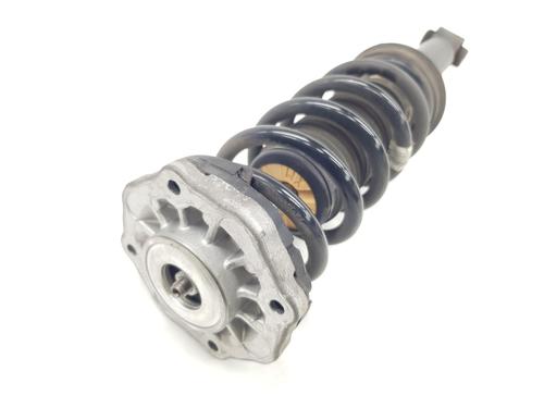 Right rear shock absorber BMW X3 (G01, F97, G08) xDrive 20 d | BP17651971M19 