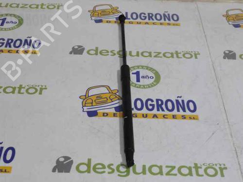 Tailgate lift support BMW 1 (F20) 118 d | BP14120665C138
