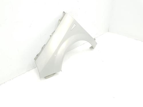 Left front fenders RENAULT SCÉNIC II (JM0/1_) 1.9 dCi (JM0G, JM12, JM1G, JM2C) | BP15085957C41 