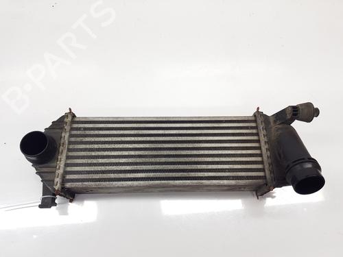 Used Intercooler Intercooler RENAULT KANGOO / GRAND KANGOO II (KW0/1_) 1.5 dCi 75 (KW07, KW10, KW04) (75 hp) 35779031 35779031