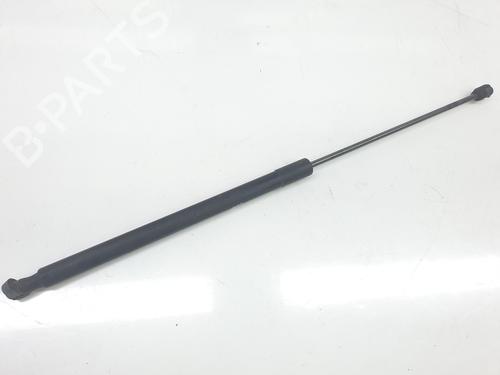 Gassdemper Bakluke FORD KUGA I 2.0 TDCi (136 hp) 16090763