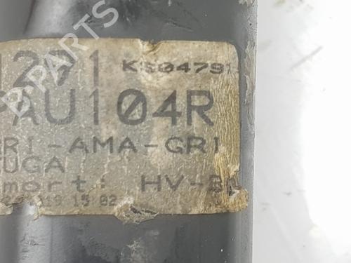 Right front shock absorber FORD KUGA II (DM2) 2.0 TDCi | BP6070037M17 