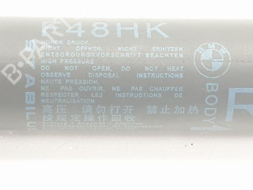 Tailgate lift support BMW X1 (F48) sDrive 18 d | BP22334674C138 