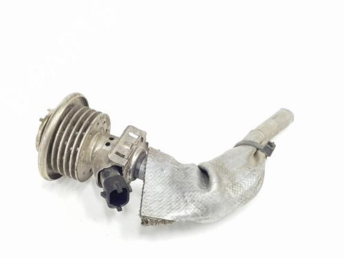 Injector LAND ROVER RANGE ROVER EVOQUE (L538)  | BP29124871M100 