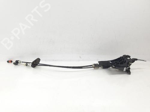 Gearstang Gearstang 37791794 37791794