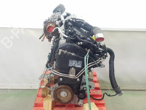Engine RENAULT KANGOO III MPV  | BP33652983M1  - Image 17