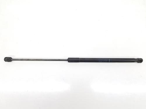 Used Tailgate lift support DACIA SANDERO 1.2 16V (75 hp) 14089843