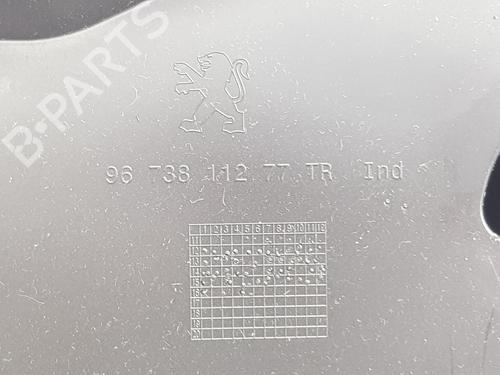 Glove box PEUGEOT 208 I (CA_, CC_) 1.2 VTI 82 | BP29010817C95 
