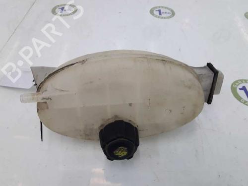Expansion tank NISSAN PRIMASTAR Van (X83) 2.0 dCi 115 | BP3376071C120 