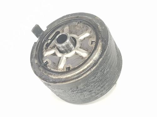Oil radiator NISSAN PATHFINDER III (R51) 2.5 dCi | BP20190816M33 