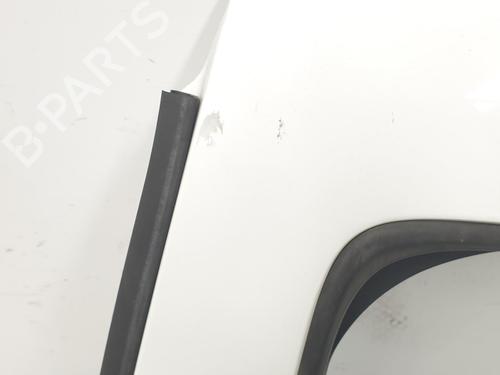 Left rear door DACIA SANDERO II  | BP16919924C4