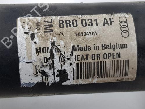 Right front shock absorber AUDI Q5 (8RB) 2.0 TDI | BP24439677M17 