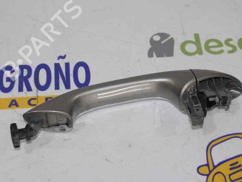 Rear left exterior door handle MERCEDES-BENZ M-CLASS (W164) ML 320 CDI 4-matic (164.122) | BP1657048C130 