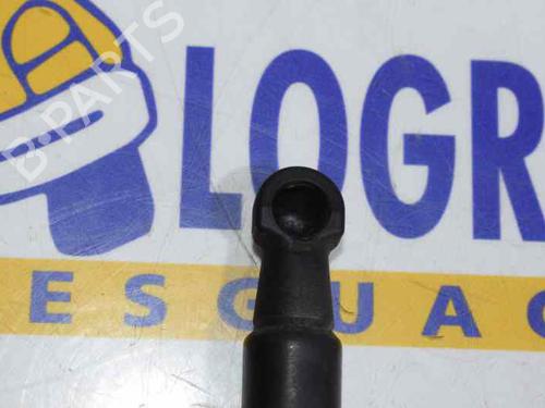 Tailgate lift support BMW 1 (F20) 118 d | BP14120665C138