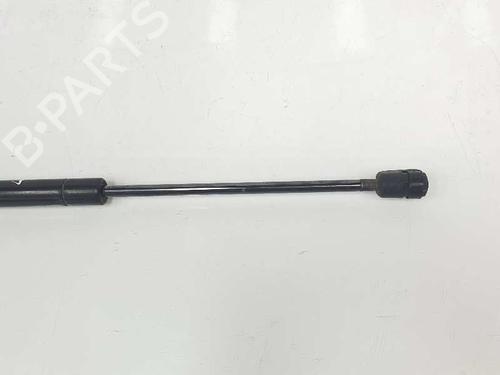Hood lift support LAND ROVER RANGE ROVER SPORT I (L320) 3.6 D 4x4 | BP14083261C139 