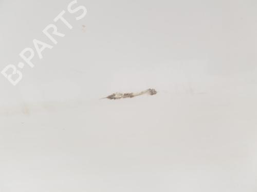 Right front door FORD TRANSIT CONNECT (P65_, P70_, P80_) 1.8 Di | BP16082686C3 