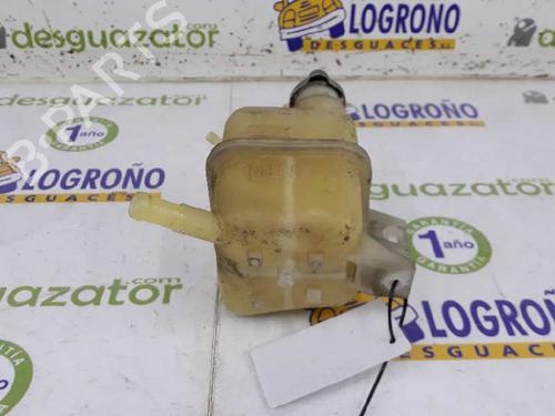 Expansion tank NISSAN X-TRAIL II (T31) 2.0 dCi 4x4 | BP2679485C120 