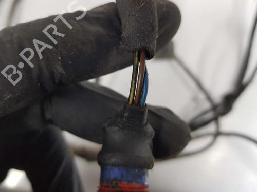 Wiring harness MERCEDES-BENZ VIANO (W639) CDI 3.0 (639.811, 639.813, 639.815) | BP14077138E16 