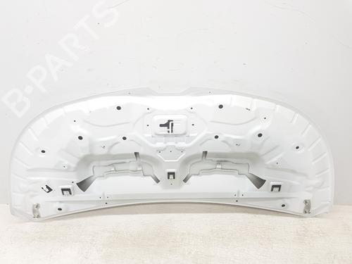 Hood RENAULT TRAFIC III Van (FG_) 1.6 dCi 140 (FGMA, FGMC) | BP30498393C1