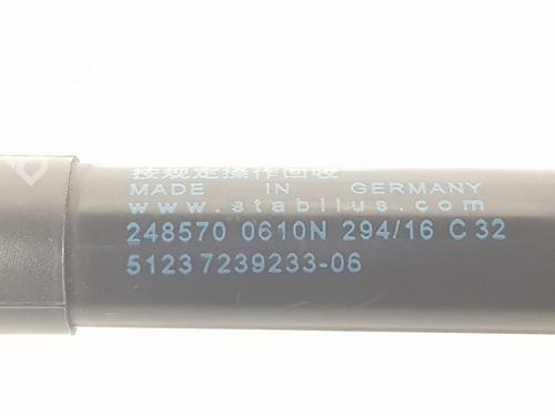 Hood lift support BMW 2 Coupe (F22, F87) 230 i | BP14101227C139 